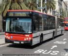 Barselona'nın kentsel otobüs